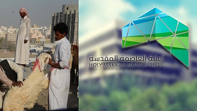 "ذبيحتك لباب بيتك" خدمة جديدة لتجنب التزاحم