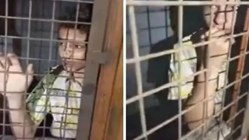 شاهد.. أب يحبس طفله داخل قفص حديدي تحت الأرض 