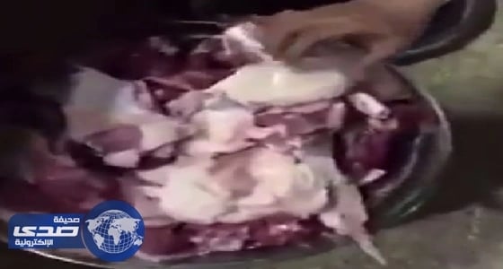 بالفيديو.. شباب يطهون وعلين مذبوحين في " محمية الوعول "