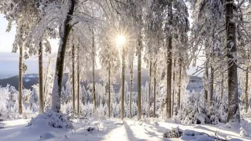 مع اقتراب الشتاء.. أوروبا تستعد لأزمة طاقة