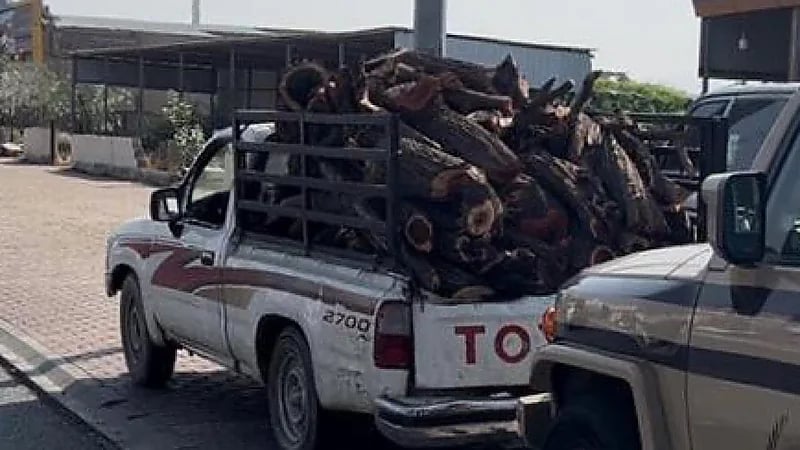 ضبط مخالفين لنظام البيئة لنقلهما حطبًا محليًا بعسير