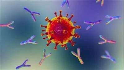 أجسام مضادة لكورونا وراء الإصابة الحادة بالفيروس