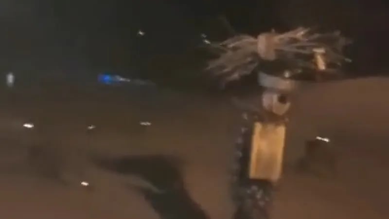 بالفيديو.. امرأة تسير بين حشود من الضباع بكل ثقة وبدون خوف