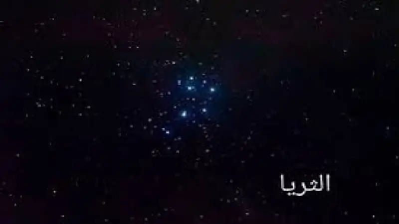 "الحصيني": موسم "الكنة" يخفي نجوم الثريا بسبب وهج الشمس