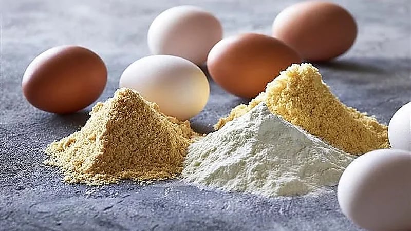 طرح "البيض البودرة" في الأسواق المصرية يثير السخرية على مواقع التواصل