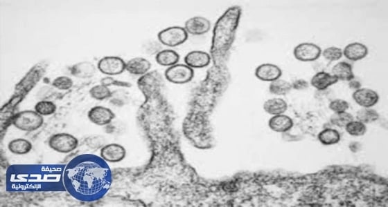 إصابة خمسة أشخاص بفيروس " هانتا " في واشنطن