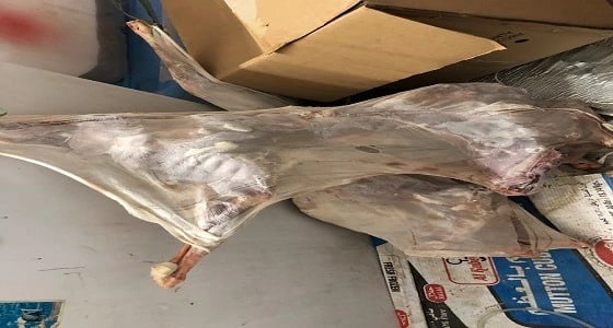 بالصور.. ضبط منزل شعبي يعد الوجبات الغذائية بالعقيق