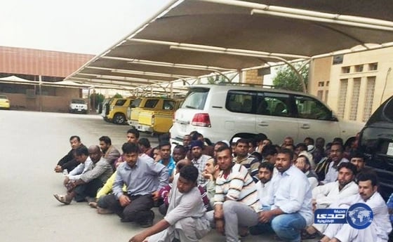 تفاصيل رموز الهوية الجديدة لوزارة الدفاع