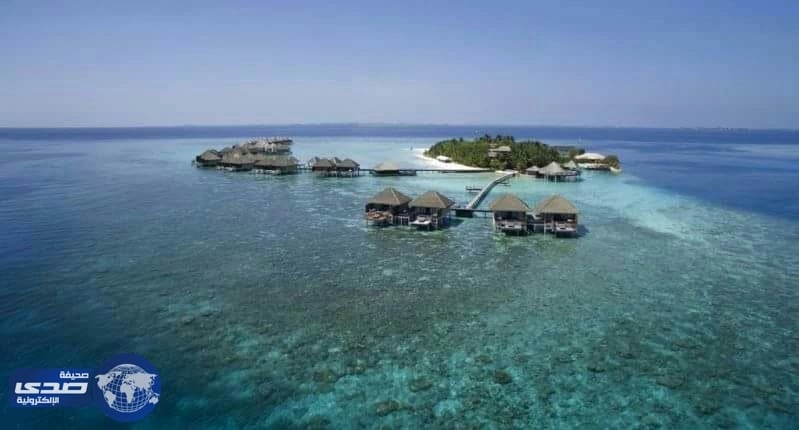 انفلونزا الخنازير تودي بحياة اثنين في جزر المالديف