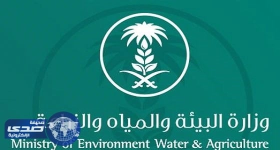 دورة تدريبية لرعاية الحيوانات الأليفة للسيدات فقط