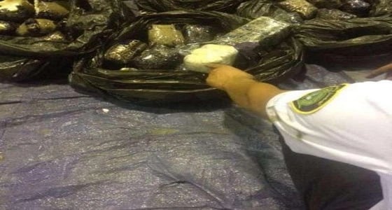 الجمارك تحبط تهريب أكثر من 650 ألف حبة من حبوب " الكبتاجون "
