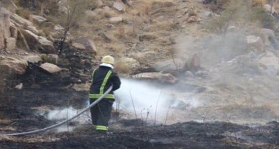 بالصور.. السيطرة على حريق في مزرعة بشفا الطائف