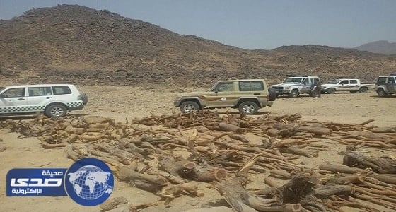 زراعة بدر تصادر كميات كبيرة من الحطب الأخضر