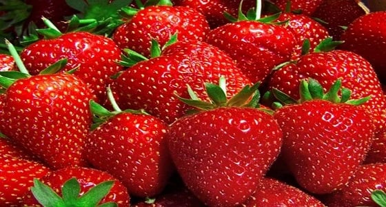 فوائد عديدة للفراولة من ضمنها " تبييض الأسنان " ومقاومة التجاعيد