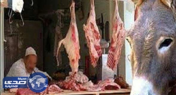 جزار يبيع لحوم الحمير للمواطنين بصنعاء