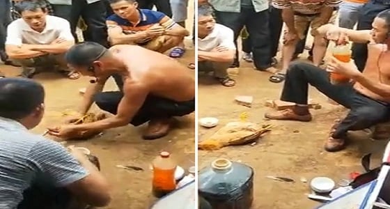 بالفيديو.. ساحر يستخدم خدعة ويدعي إعادة دجاجة للحياة بعد موتها