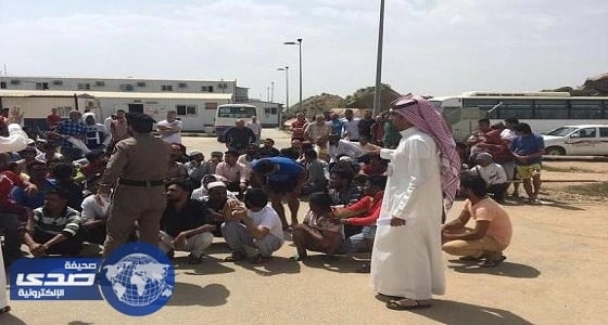 فرع وزارة العمل بعسير ينهي اضراب عمال شركة بالزامها دفع مستحقاتهم