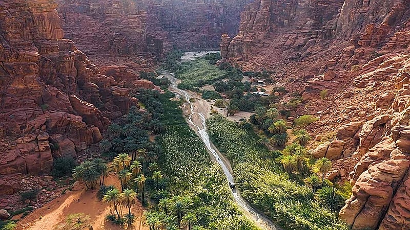 ضبط شخص ارتكب مخالفة صيد الوعل البري بمحمية الأمير محمد بن سلمان الملكية