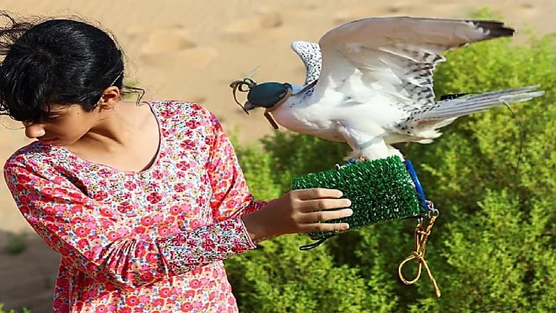 صور..صقارة تعلم النساء الصيد بالصقور