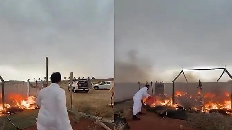 صاعقة تسببت بحريق في البكيرية.. فيديو