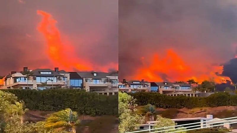 حرائق الغابات تلتهم المنازل في كاليفورنيا.. فيديو