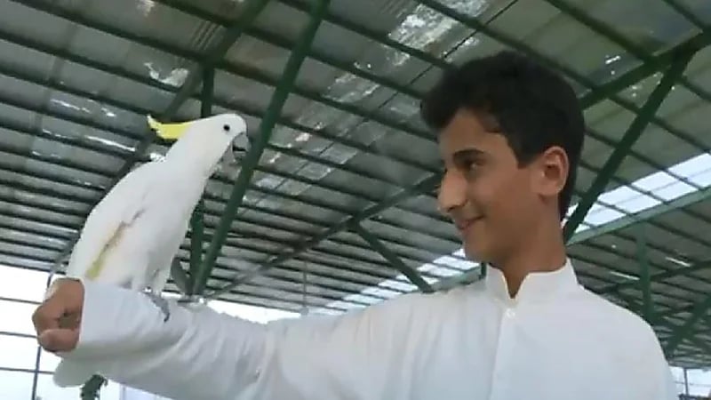 قصة شاب بالجوف نجح في مشروع سياحي يحتضن مختلف أنواع الطيور