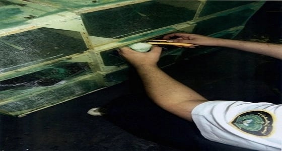 جمرك مطار الملك عبدالعزيز يحبط تهريب 42 ألف حبة كبتاجون