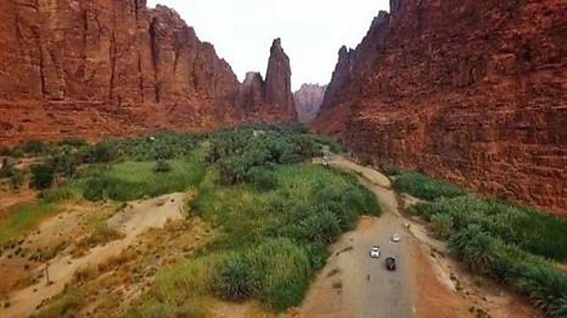 ضبط 3 مواطنين ارتكبوا مخالفات صيد في محمية الملك سلمان