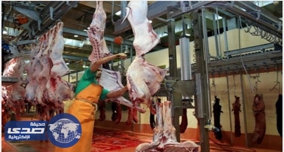 توفير الأطقم البشرية اللازمة للمسلخ النموذجي بالقصيم