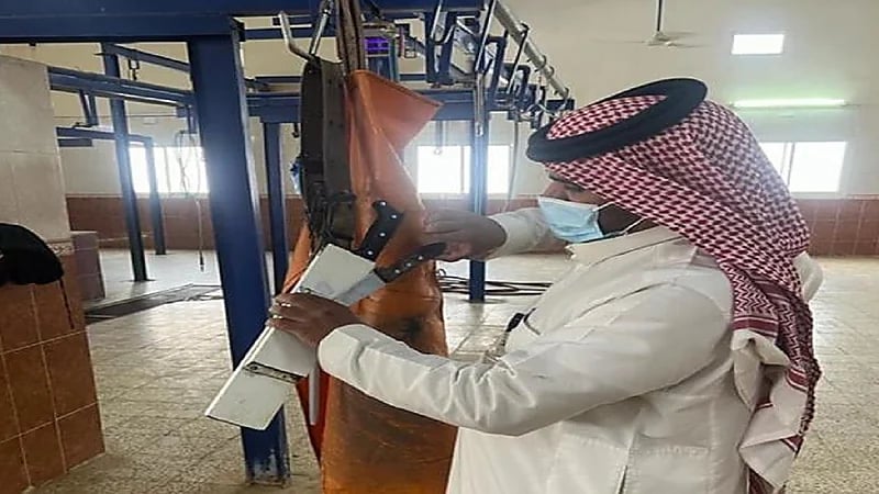 الكشف عن إجمالي الذبائح بمطابخ عسير في عيد الأضحى..صور