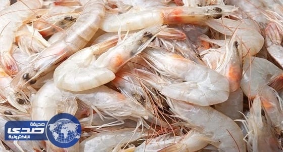 حظر استيراد الروبيان المبرّد والمجمّد من تكساس الأمريكية