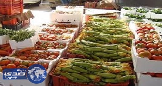 الإمارات تحظر استيراد الخضراوات والفواكه من الأردن ومصر وعمان ولبنان