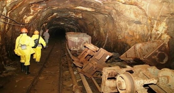 مقتل نحو 30 شخصًا في انهيار أرضي بمنجم ذهب في تشاد