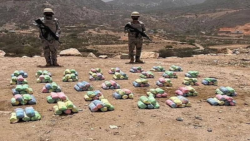 إحباط تهريب 48 كيلو جرامًا من نبات القات المخدر بجازان