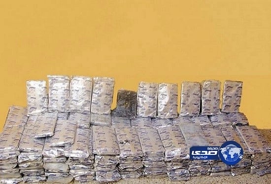 مصرع شخصين في تحطم طائرة بسويسرا