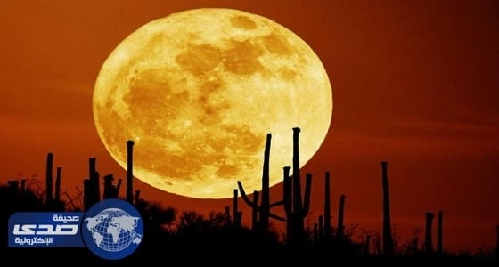 فلكية جدة: تكشف حقيقة ظهور أول قمر عملاق غداً