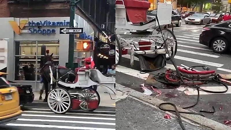 بالفيديو.. تعنيف مروع لحصان بسبب حادث تصادم