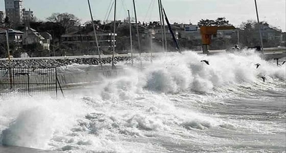 ارتفاع عدد ضحايا إعصار " مدغشقر " إلى 51 قتيلا