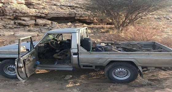 بالصور.. عمالة عربية تقطع أكثر من 70 شجرة في الأفلاج للكسب المادي