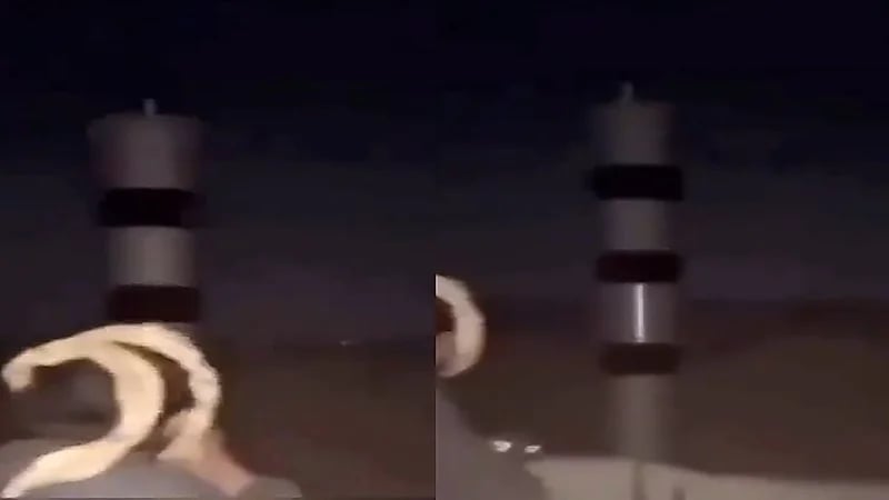 شاهد.. مصير 3 مواطنين أطلقوا النار على جهاز "ساهر" بالأمواه