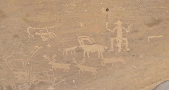 ظهور نقوش جديدة تكشف سر غابات شبه الجزيرة العربية