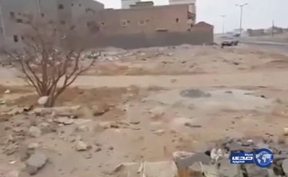 شاهد بالفيديو.. اكتشاف مقبرة قديمة وسط مخطط سكني في بيشة جاري تجريفها من قبل عُمال البناء