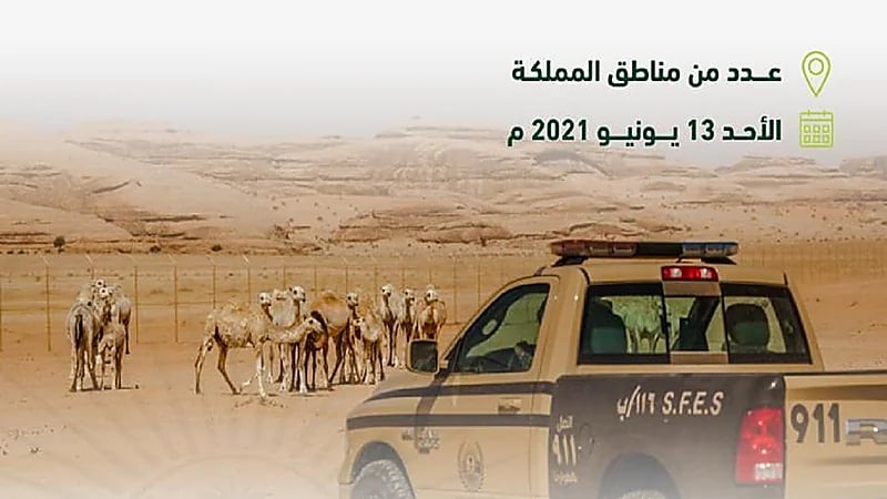 "الأمن البيئي" يوقف 36 مخالفًا لنظام البيئة لارتكابهم مخالفات رعي