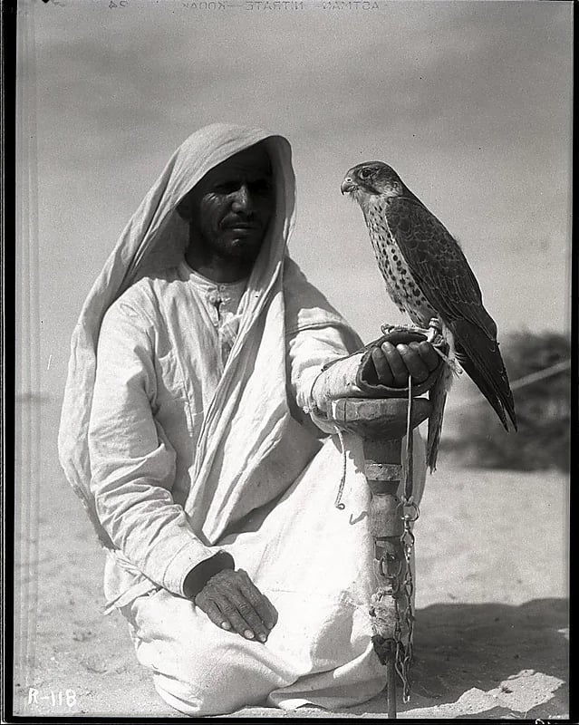 صورة رائعة لصقار وصقره قبل 87 عام