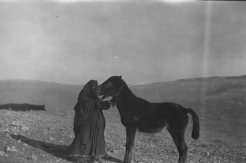 لحظة هادئة لامرأة مع حصانها