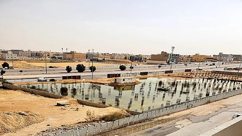 "النمر" يوضح خطورة المياه الراكدة في الأحياء السكنية