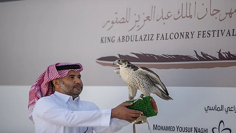 الصقر "أسود" يحطّم الأرقام القياسية في مهرجان الملك عبدالعزيز للصقور 2022