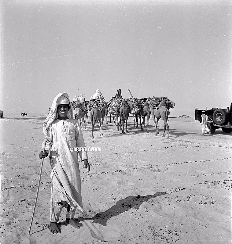 قافلة من الجمال بالقرب من بادية بقيق عام 1947م