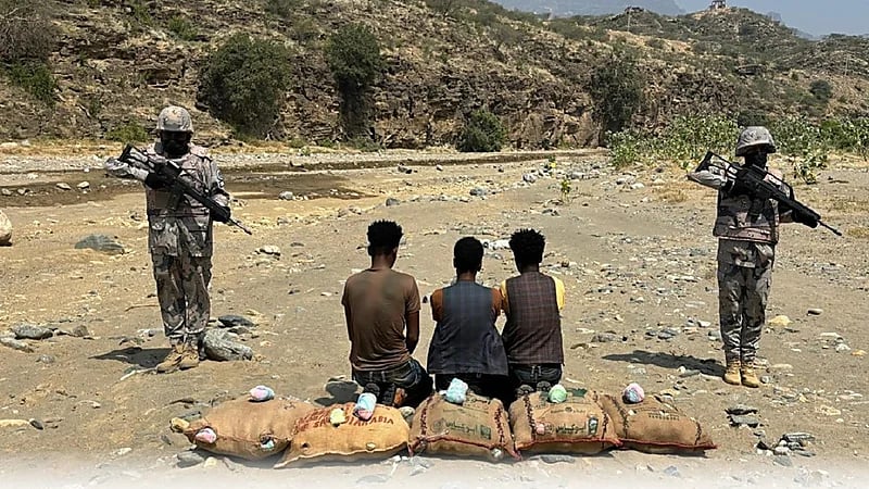 ضبط 3 مخالفين لتهريبهم 126 كيلوجرامًا من القات بجازان