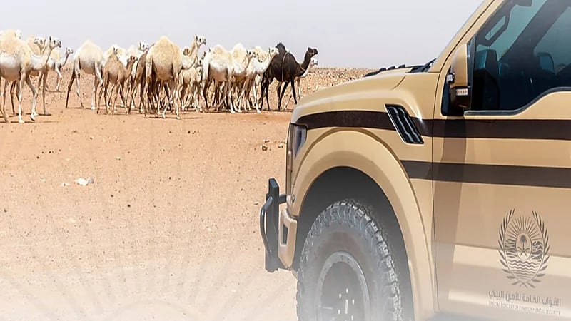 ضبط مخالفَين لنظام البيئة لبيعهم كائنات فطرية برية في الرياض